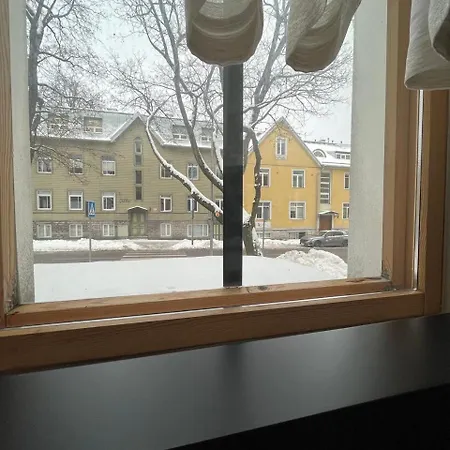 Cozy Flat With Fireplace Tallin