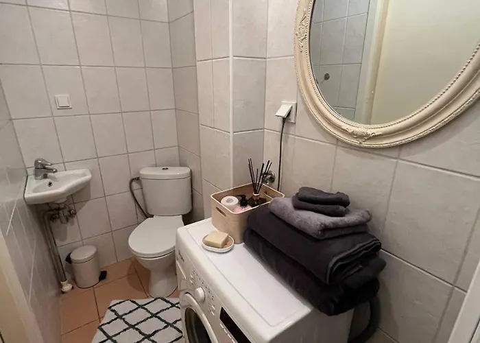 公寓 Cozy Flat With Fireplace 塔林