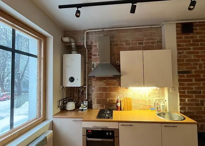 公寓 Cozy Flat With Fireplace