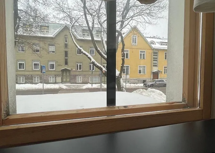 Cozy Flat With Fireplace 塔林