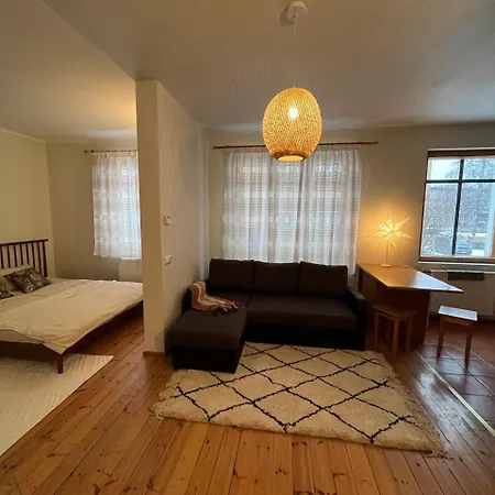 Cozy Flat With Fireplace Διαμέρισμα Ταλίν